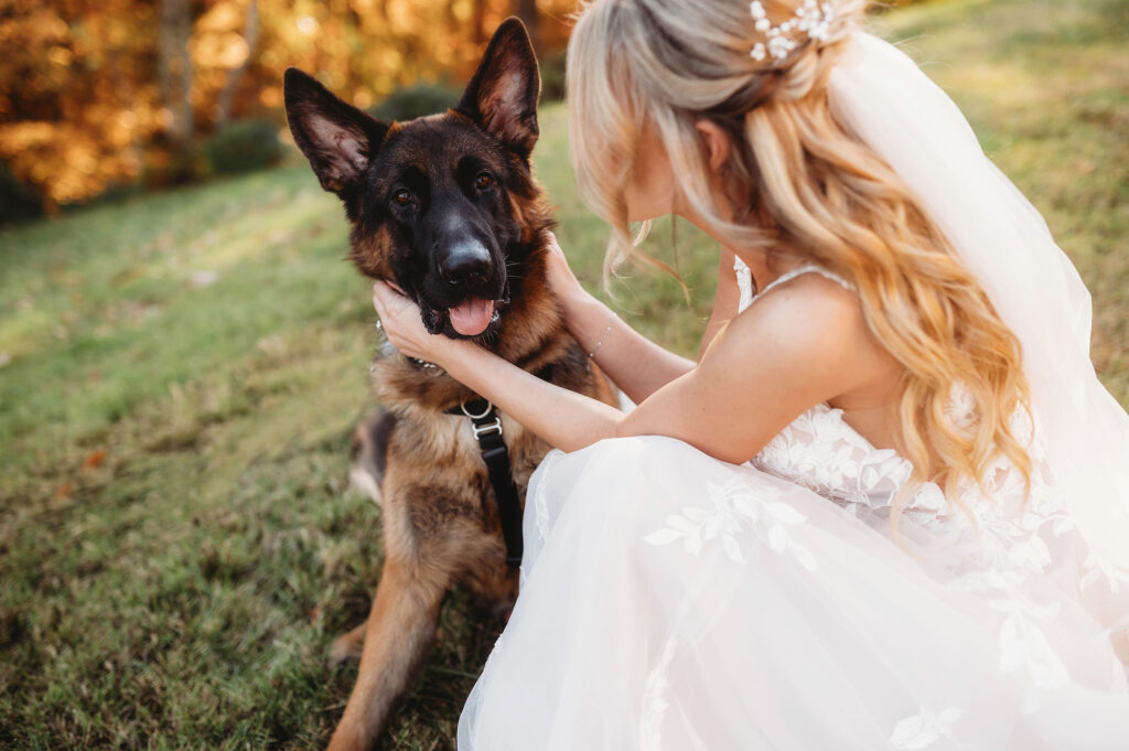 Bride interacts with her dog on her wedding day in Asheville, NC.